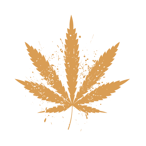 Gold Modern Collection Logo